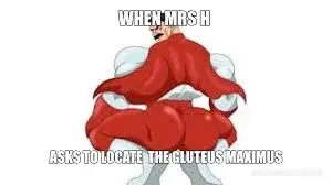 WHEN MRS H  - ASKS TO LOCATE  THE GLUTEUS MAXIMUS meme