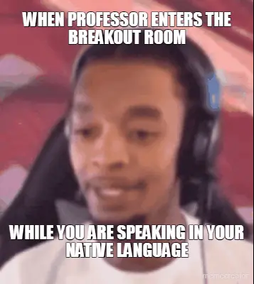 WHEN PROFESSOR ENTERS THE BREAKOUT ROOM - WHILE YOU ARE SPEAKING IN YOUR NATIVE LANGUAGE meme
