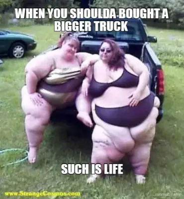 WHEN YOU SHOULDA BOUGHT A BIGGER TRUCK  - SUCH IS LIFE meme