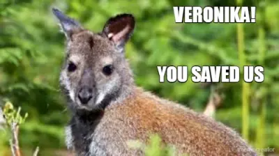 VERONIKA! - YOU SAVED US meme