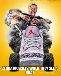ZEBRA MUSSELS WHEN THEY SEE A BOAT meme