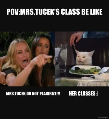 POV:MRS.TUCEK'S CLASS BE LIKE - MRS.TUCEK:DO NOT PLAGIRIZE!!! - HER CLASSES:| meme