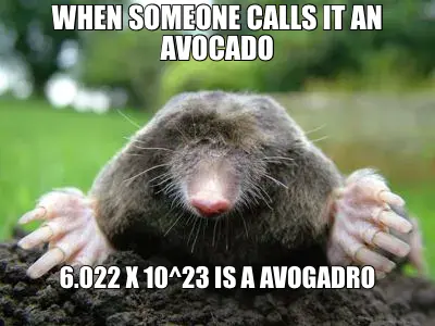WHEN SOMEONE CALLS IT AN AVOCADO | 6.022 X 10^23 IS A AVOGADRO meme