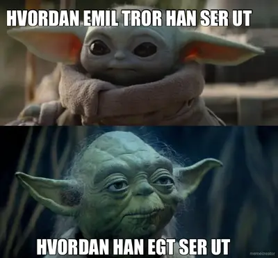 HVORDAN EMIL TROR HAN SER UT - HVORDAN HAN EGT SER UT meme