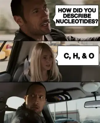 HOW DID YOU DESCRIBE NUCLEOTIDES? - C, H, & O meme