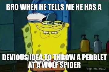 BRO WHEN HE TELLS ME HE HAS A  - DEVIOUS IDEA TO THROW A PEBBLET AT A WOLF SPIDER meme