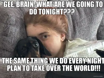 “GEE, BRAIN, WHAT ARE WE GOING TO DO TONIGHT??? - THE SAME THING WE DO EVERY NIGHT, PLAN TO TAKE OVE meme