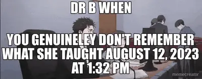 DR B WHEN - YOU GENUINELEY DON'T REMEMBER WHAT SHE TAUGHT AUGUST 12, 2023 AT 1:32 PM meme
