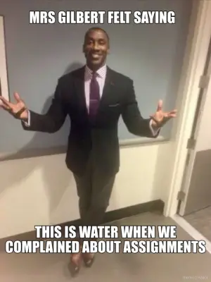 MRS GILBERT FELT SAYING - THIS IS WATER WHEN WE COMPLAINED ABOUT ASSIGNMENTS meme