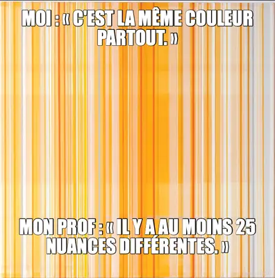 MOI : « C'EST LA MÊME COULEUR PARTOUT. » - MON PROF : « IL Y A AU MOINS 25 NUANCES DIFFÉRENTES. » meme