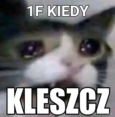 1F KIEDY - KLESZCZ meme