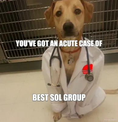 YOU'VE GOT AN ACUTE CASE OF - BEST SOL GROUP meme