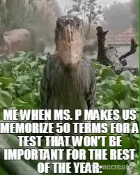 ME WHEN MS. P MAKES US MEMORIZE 50 TERMS FOR A TEST THAT WON'T BE IMPORTANT FOR THE REST OF THE YEAR meme