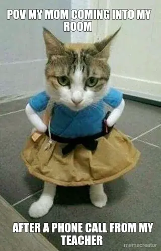 Kitty in a dress meme