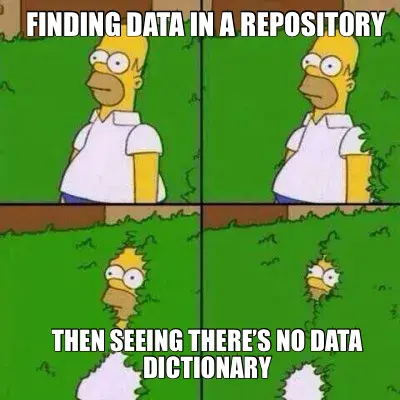 FINDING DATA IN A REPOSITORY  — THEN SEEING THERE’S NO DATA DICTIONARY meme