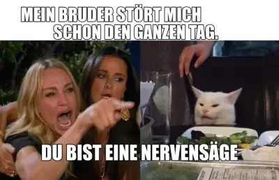 MEIN BRUDER STÖRT MICH                 SCHON DEN GANZEN TAG. - DU BIST EINE NERVENSÄGE meme
