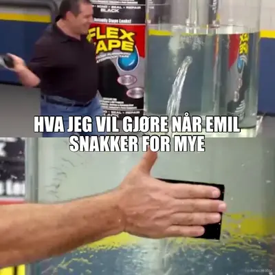 HVA JEG VIL GJØRE NÅR EMIL SNAKKER FOR MYE meme