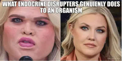 WHAT ENDOCRINE DISRUPTERS GENUIENLY DOES TO AN ORGANISM meme