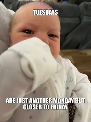 TUESDAYS - ARE JUST ANOTHER MONDAY BUT CLOSER TO FRIDAY