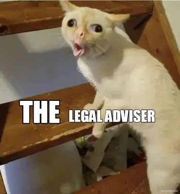 THE - LEGAL ADVISER meme