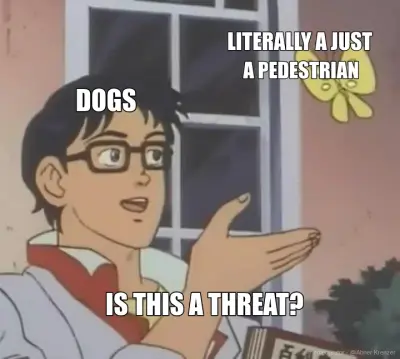 DOGS - LITERALLY A JUST  - IS THIS A THREAT? - A PEDESTRIAN meme