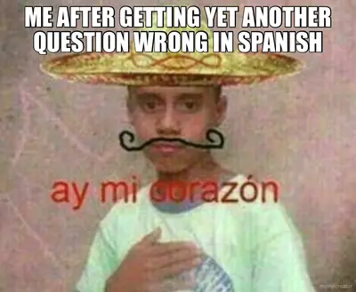 ME AFTER GETTING YET ANOTHER QUESTION WRONG IN SPANISH meme
