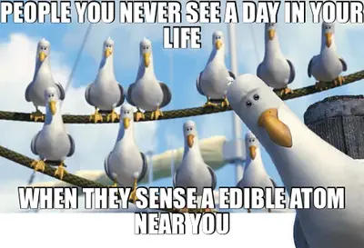 PEOPLE YOU NEVER SEE A DAY IN YOUR LIFE | WHEN THEY SENSE A EDIBLE ATOM NEAR YOU meme