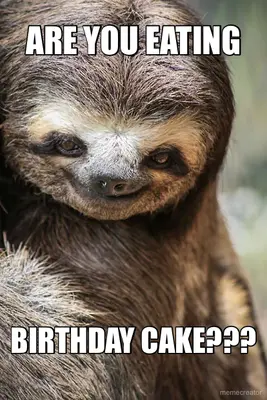 ARE YOU EATING - BIRTHDAY CAKE??? meme