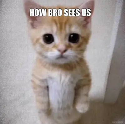 HOW BRO SEES US meme
