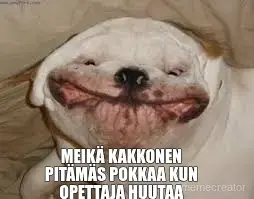 MEIKÄ KAKKONEN PITÄMÄS POKKAA KUN OPETTAJA HUUTAA meme