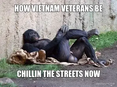 HOW VIETNAM VETERANS BE - CHILLIN THE STREETS NOW meme
