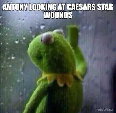 ANTONY LOOKING AT CAESARS STAB WOUNDS meme