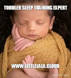Toddler sleep training expert meme