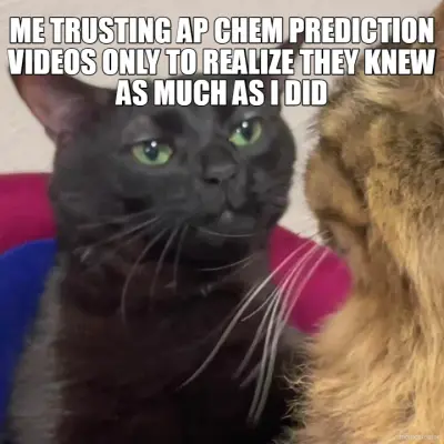 ME TRUSTING AP CHEM PREDICTION VIDEOS ONLY TO REALIZE THEY KNEW AS MUCH AS I DID meme