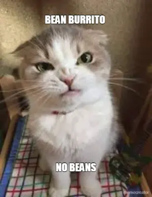 BEAN BURRITO  - NO BEANS meme