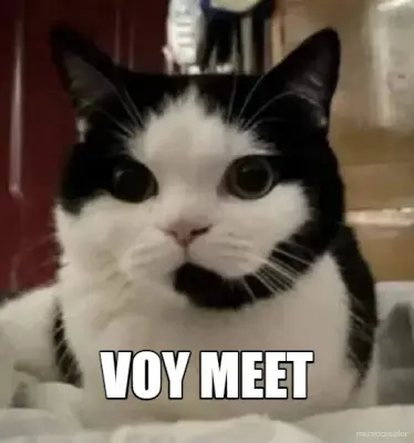 VOY MEET meme
