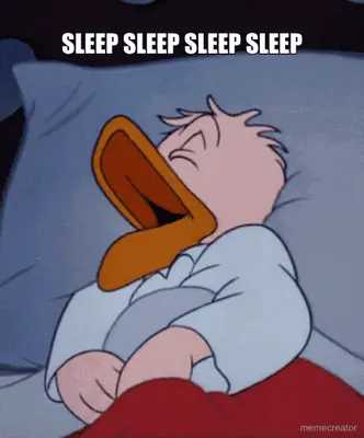 SLEEP SLEEP SLEEP SLEEP meme