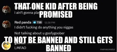 THAT ONE KID AFTER BEING PROMISED - TO NOT BE BANNED AND STILL GETS BANNED meme