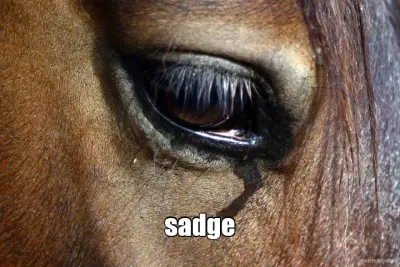 sadge meme