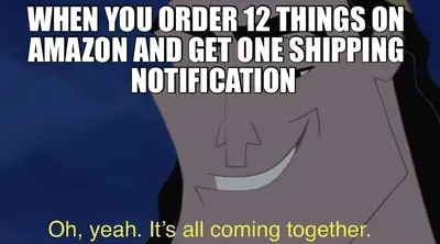 WHEN YOU ORDER 12 THINGS ON AMAZON AND GET ONE SHIPPING NOTIFICATION meme