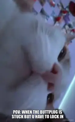 POV: WHEN THE BUTTPLUG IS STUCK BUT U HAVE TO LOCK IN meme