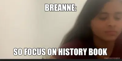 BREANNE: - SO FOCUS ON HISTORY BOOK meme
