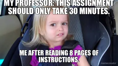MY PROFESSOR: THIS ASSIGNMENT SHOULD ONLY TAKE 30 MINUTES. - ME AFTER READING 8 PAGES OF INSTRUCTION meme