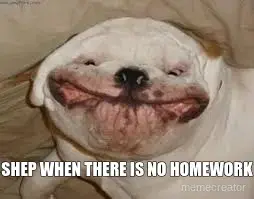 SHEP WHEN THERE IS NO HOMEWORK meme