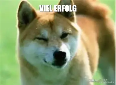 VIEL ERFOLG meme