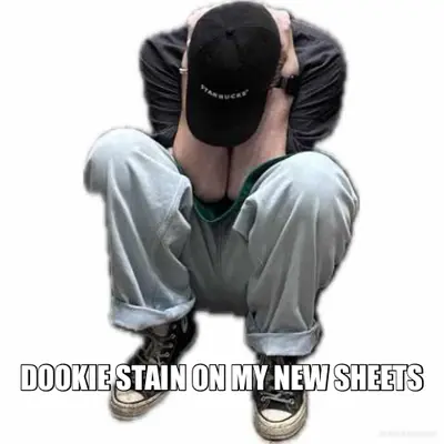 DOOKIE STAIN ON MY NEW SHEETS meme