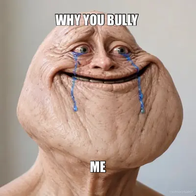 WHY YOU BULLY  - ME meme