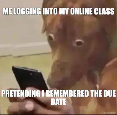 ME LOGGING INTO MY ONLINE CLASS - PRETENDING I REMEMBERED THE DUE DATE meme