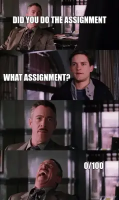 DID YOU DO THE ASSIGNMENT - 0/100 - WHAT ASSIGNMENT? meme