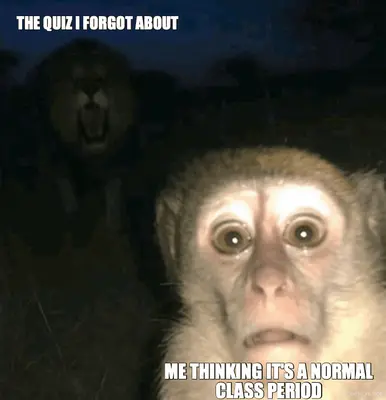 THE QUIZ I FORGOT ABOUT - ME THINKING IT'S A NORMAL CLASS PERIOD meme